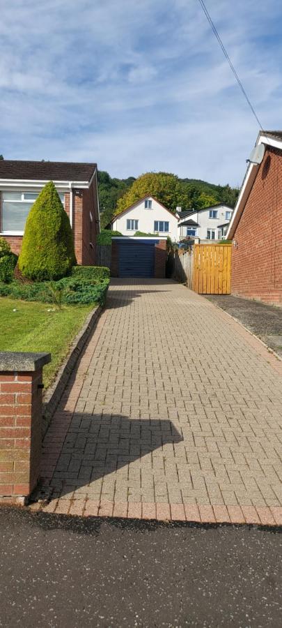 Bellevue Bungalow - Comfortable Home With Amazing Views Belfast Eksteriør billede