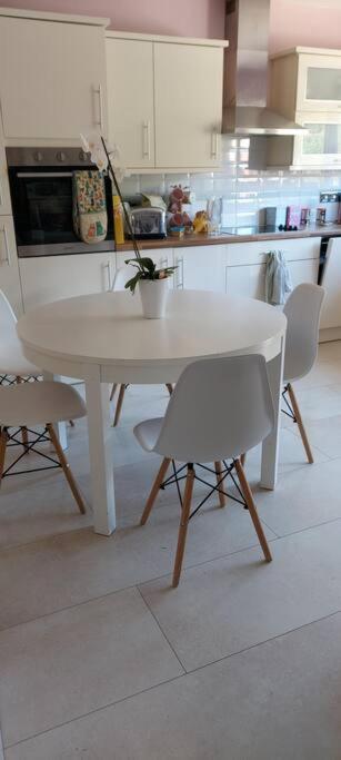 Bellevue Bungalow - Comfortable Home With Amazing Views Belfast Eksteriør billede