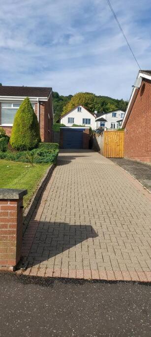 Bellevue Bungalow - Comfortable Home With Amazing Views Belfast Eksteriør billede