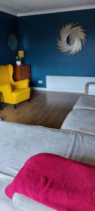 Bellevue Bungalow - Comfortable Home With Amazing Views Belfast Eksteriør billede