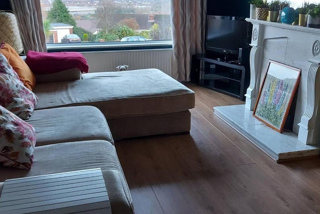 Bellevue Bungalow - Comfortable Home With Amazing Views Belfast Eksteriør billede