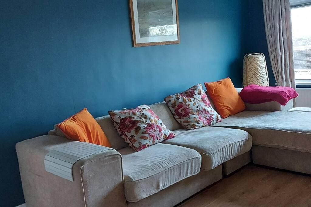Bellevue Bungalow - Comfortable Home With Amazing Views Belfast Eksteriør billede