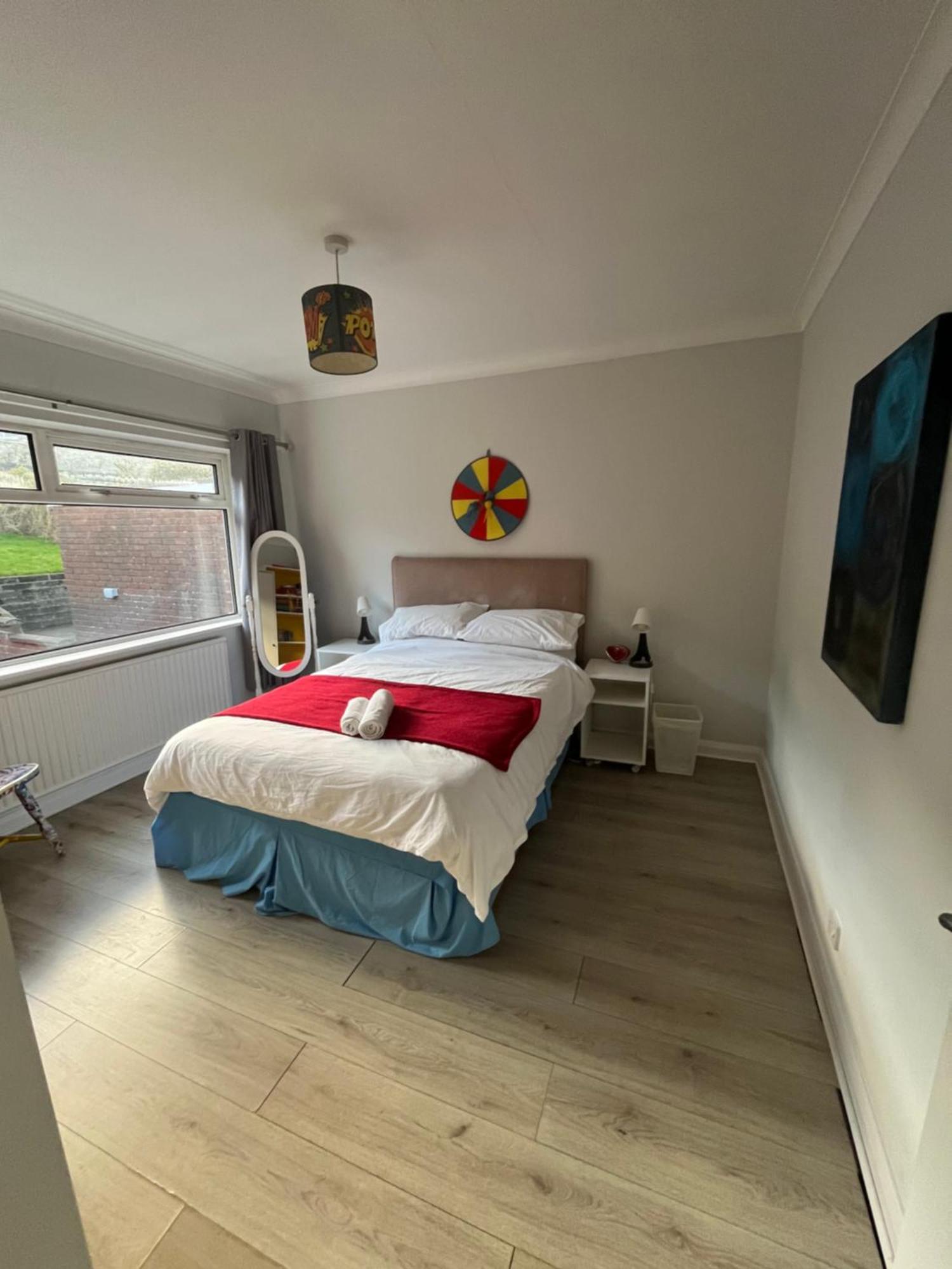 Bellevue Bungalow - Comfortable Home With Amazing Views Belfast Eksteriør billede